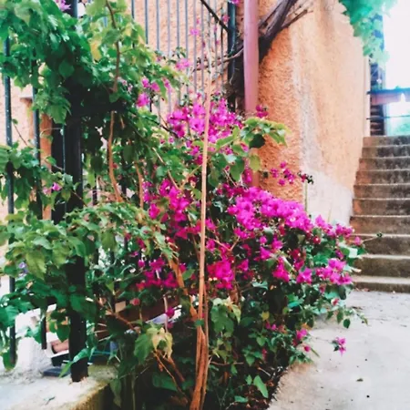 La Casetta Da Pa' E Na' Quiliano Exterior foto